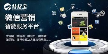 特亿宝荣膺“优秀电子商务服务商”奖项，彰显电商赋能新高度